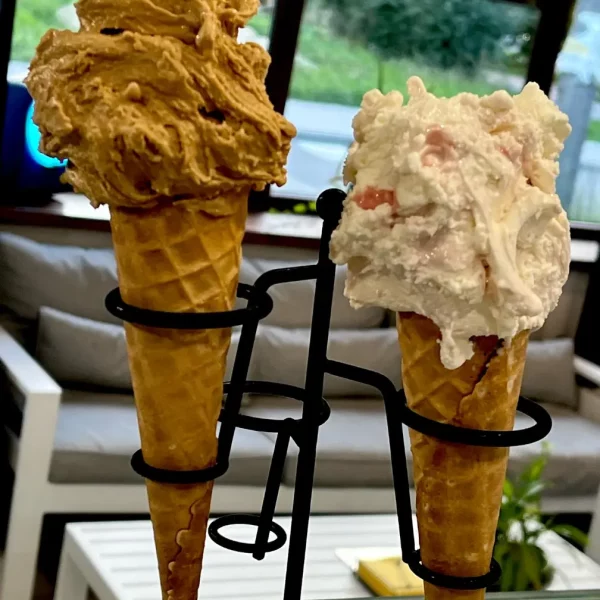 366325960_749150713886935_4596187269757348384_n (1)